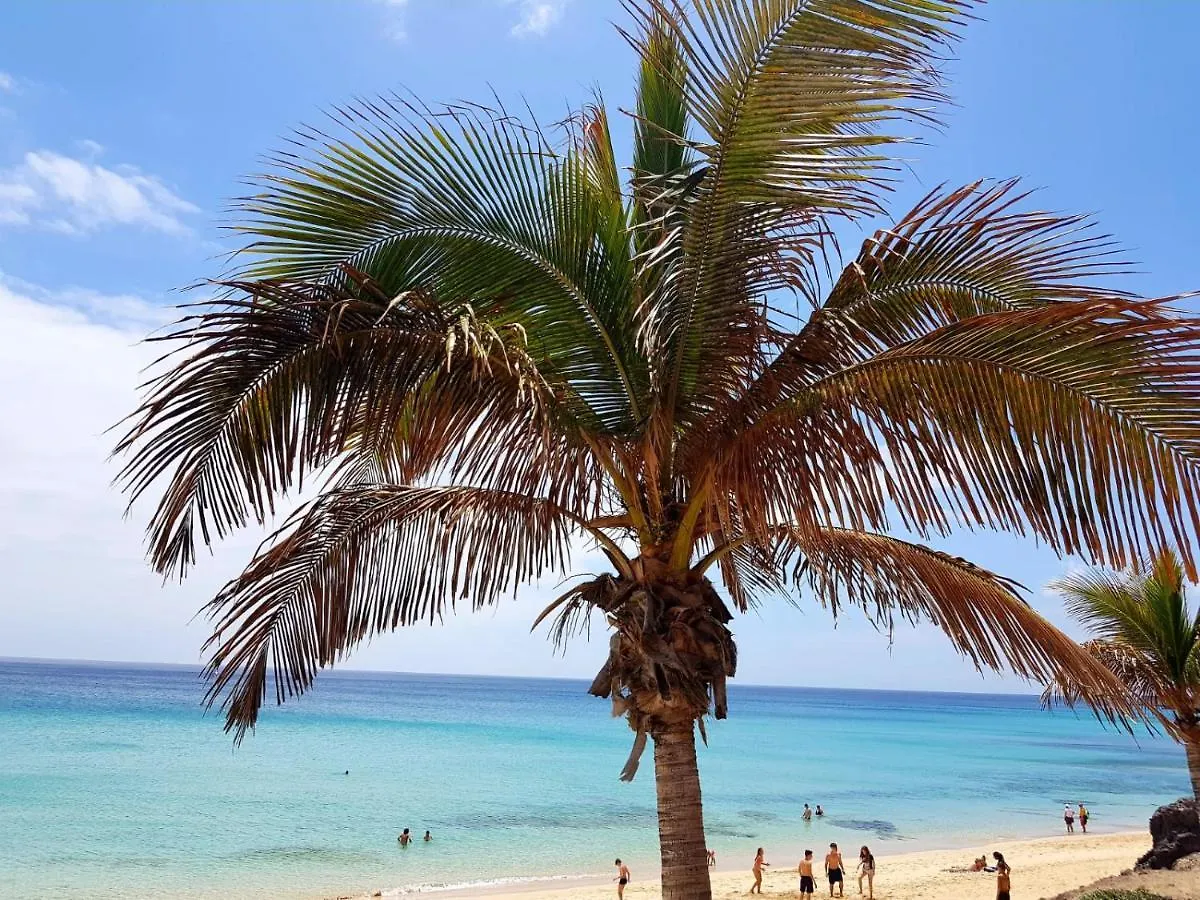 Your Ocean Blue Costa Calma Appartement